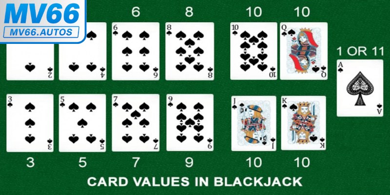 Thuật ngữ cơ bản trong game bài Blackjack bạn cần nắm rõ