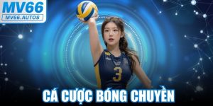 Cá Cược Bóng Chuyền