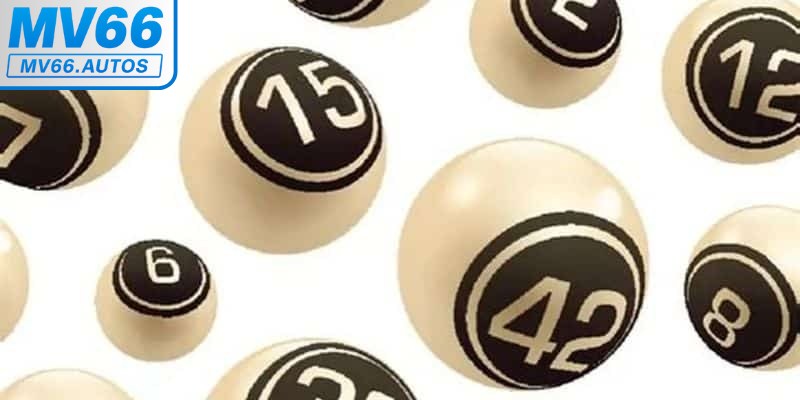 Khái niệm về lô kép là gì?