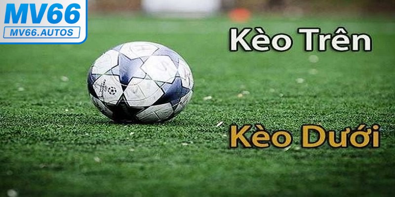 Các tỷ lệ cược trong kèo trên kèo dưới phổ biến trong bóng đá