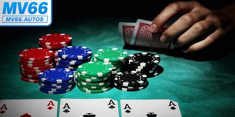 Khám phá luật chơi Catte chi tiết, dễ hiểu