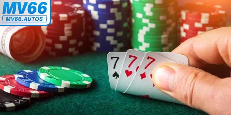 Kinh nghiệm chơi Catte thắng lớn, đạt hiệu quả tối ưu từ cao thủ