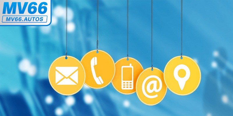 Liên hệ MV66 được đánh giá cao nhờ sự nhanh nhạy và an toàn