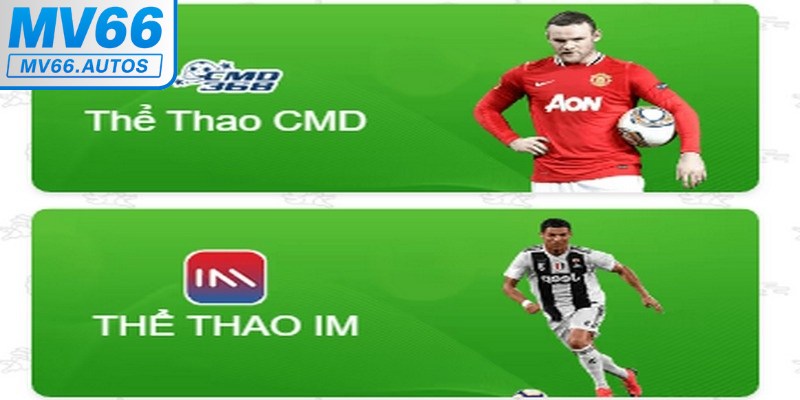 Top những sảnh cược hot nhất tại Thể thao MV66